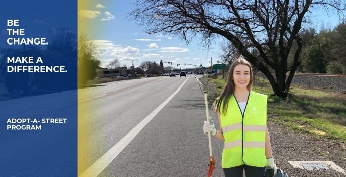 Adopt-A-Street Link