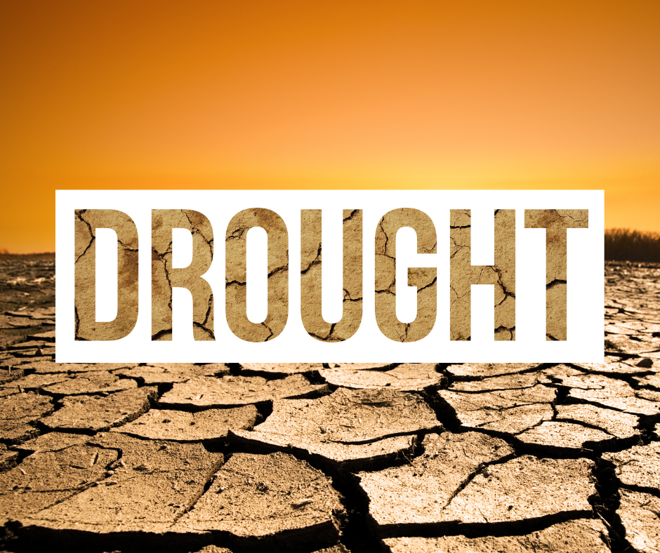 Drought image