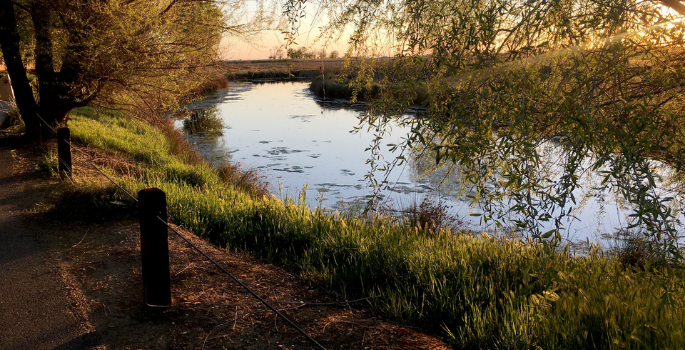 Pond view from Lincoln Crossings trail.