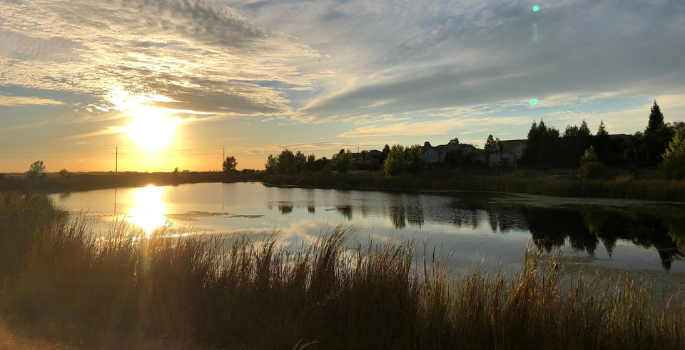 Pond at sunset