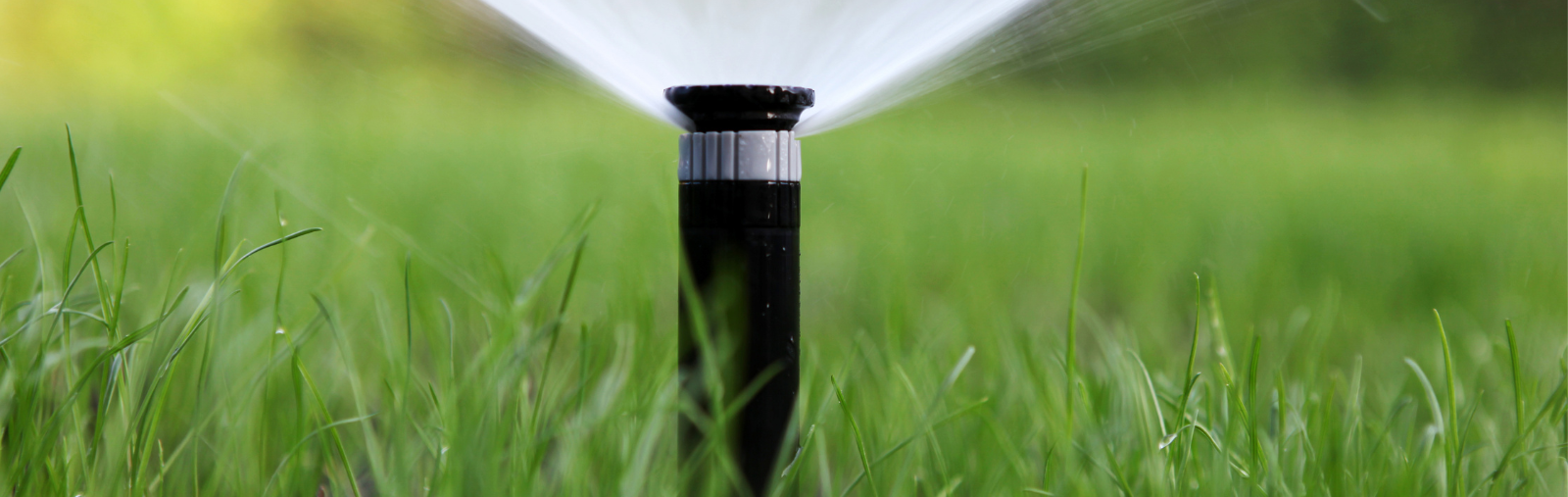 Water Efficiency