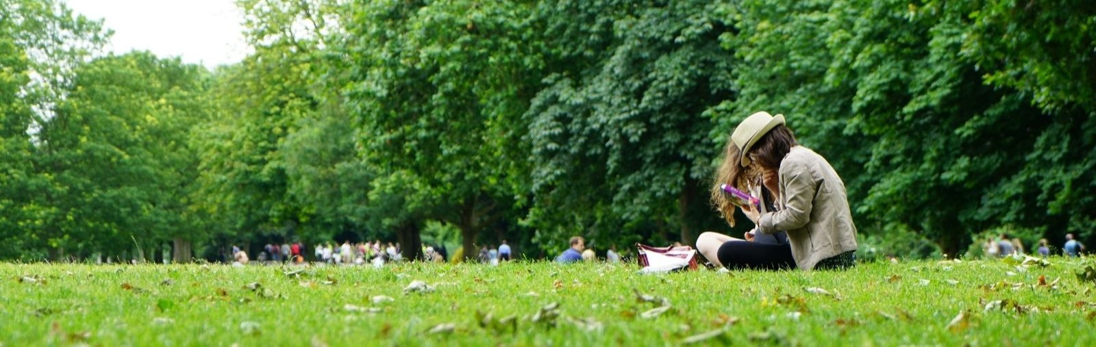 people sitting at the park