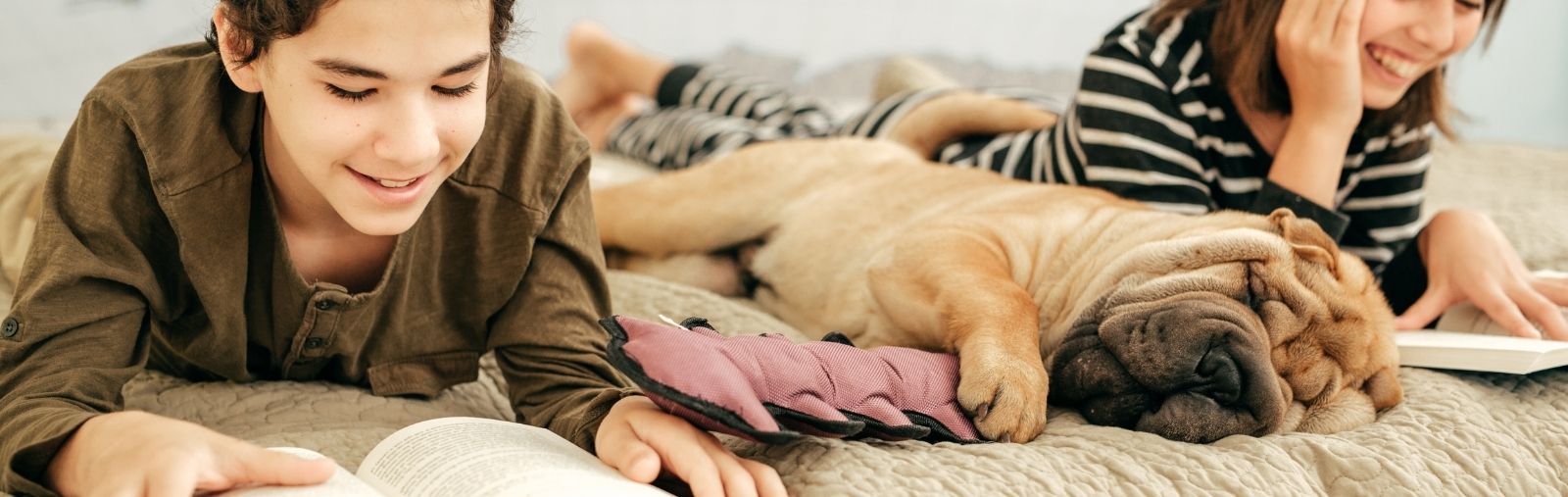 Children on a bed reading to a dog