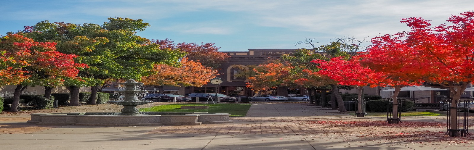 image of a plaza in fall 