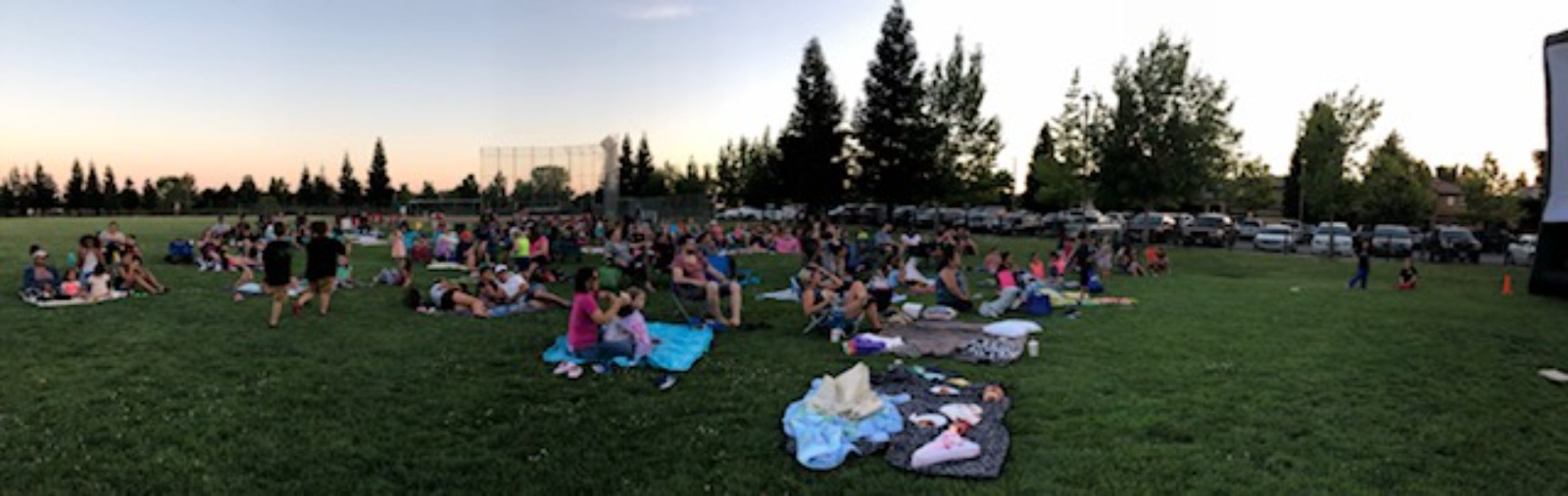people in park for movie night