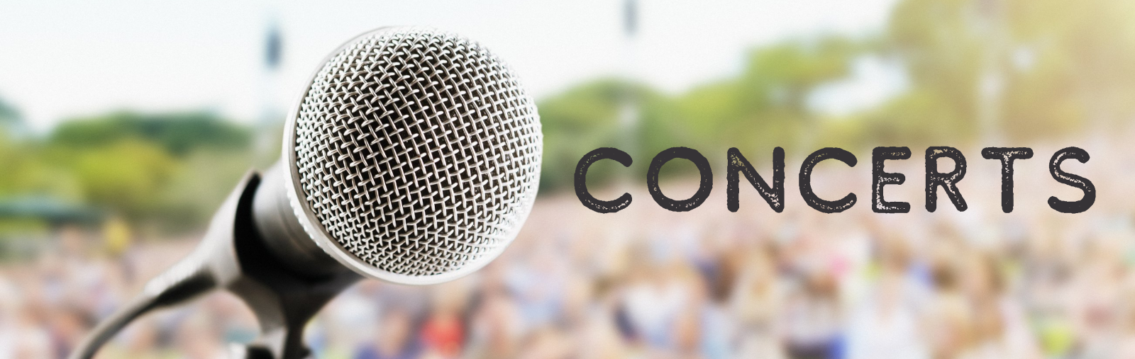 mic with crowd background