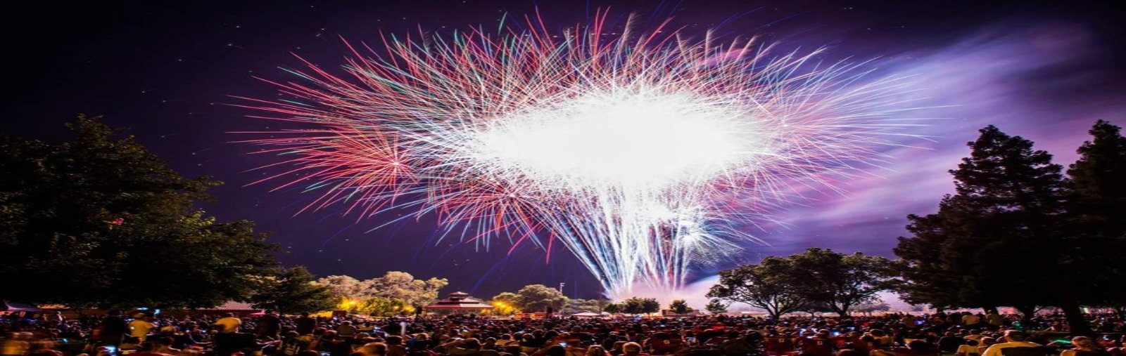 fireworks in the sky over crowd