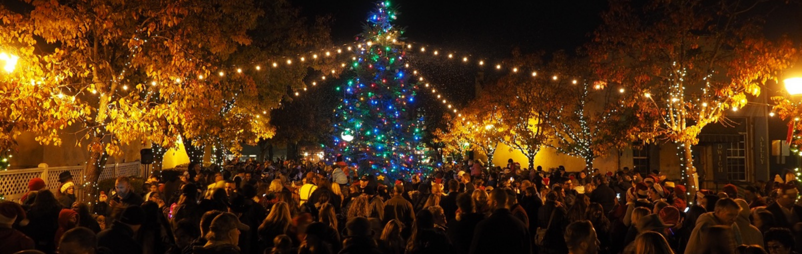 lighted Christmas tree in plaza with crowd of people around 