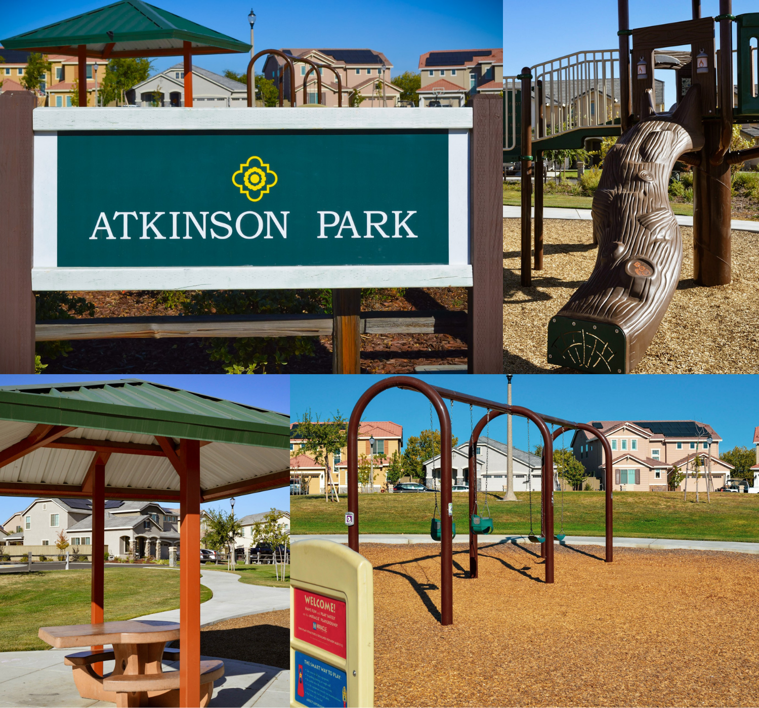 Photo collage of park on sunny day