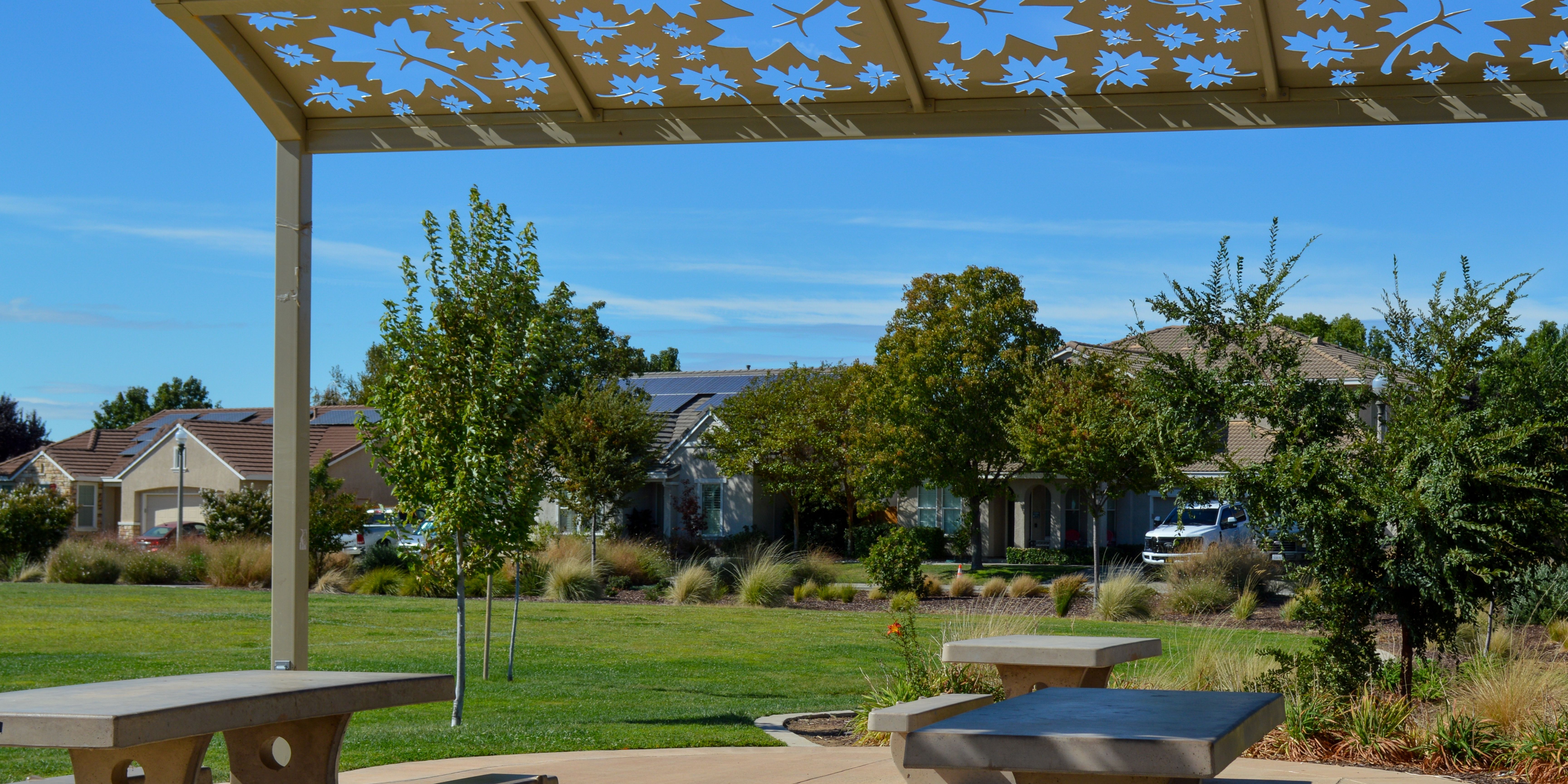 Picnic tables with green grass on a sunny day