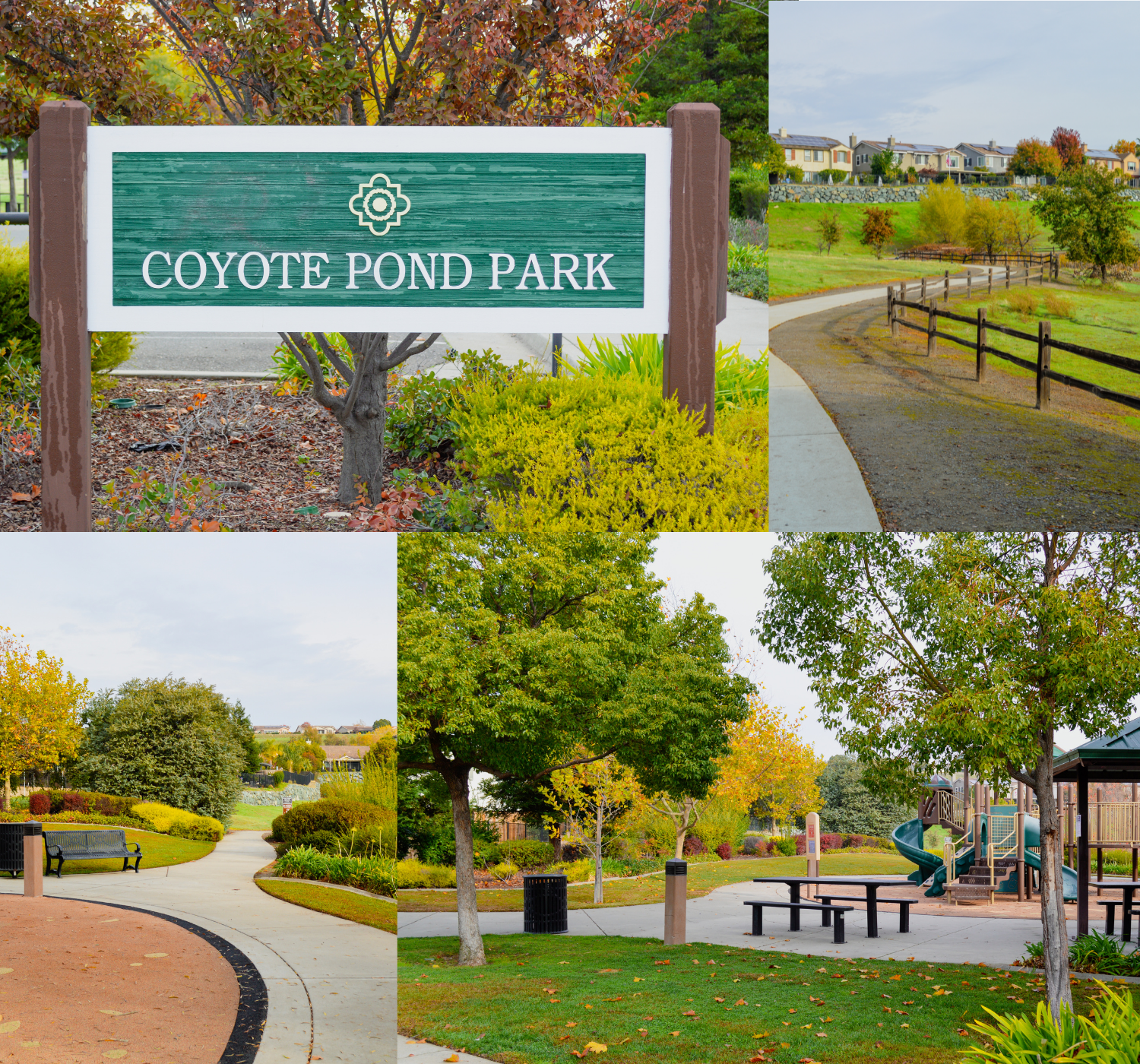Photo collage of park during the fall 