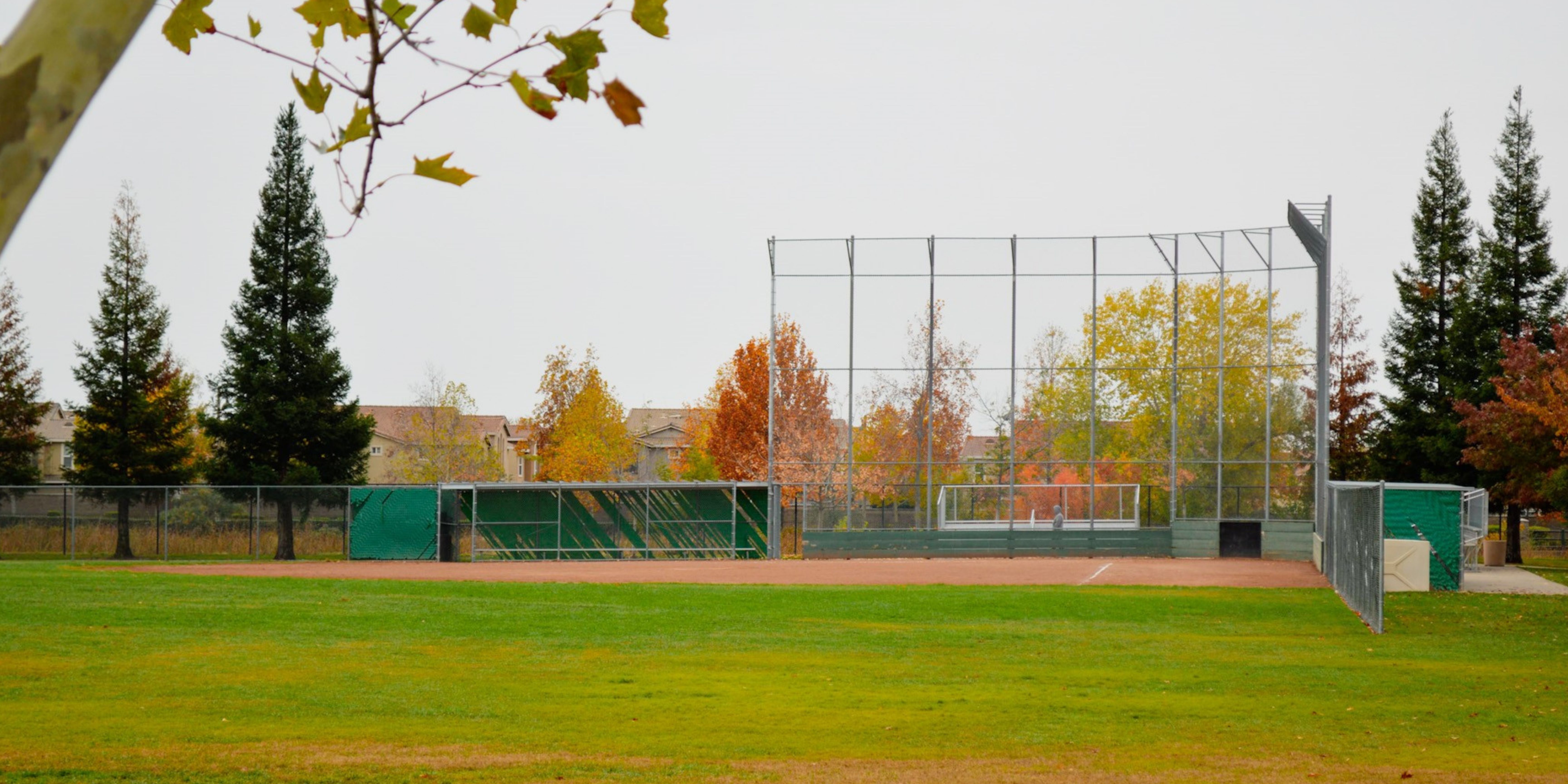 Green baseball field with trees changing colors in Autumn