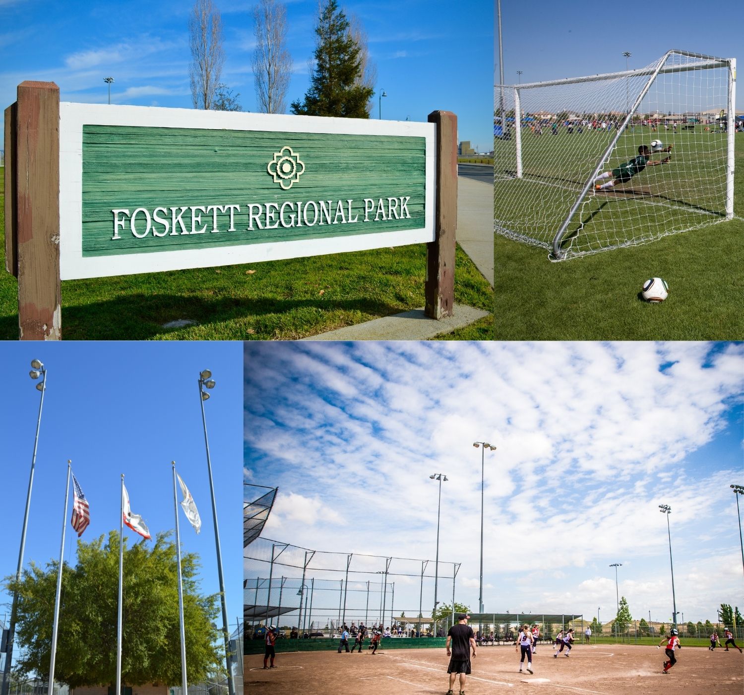 Photo collage of park on sunny day with blue skies