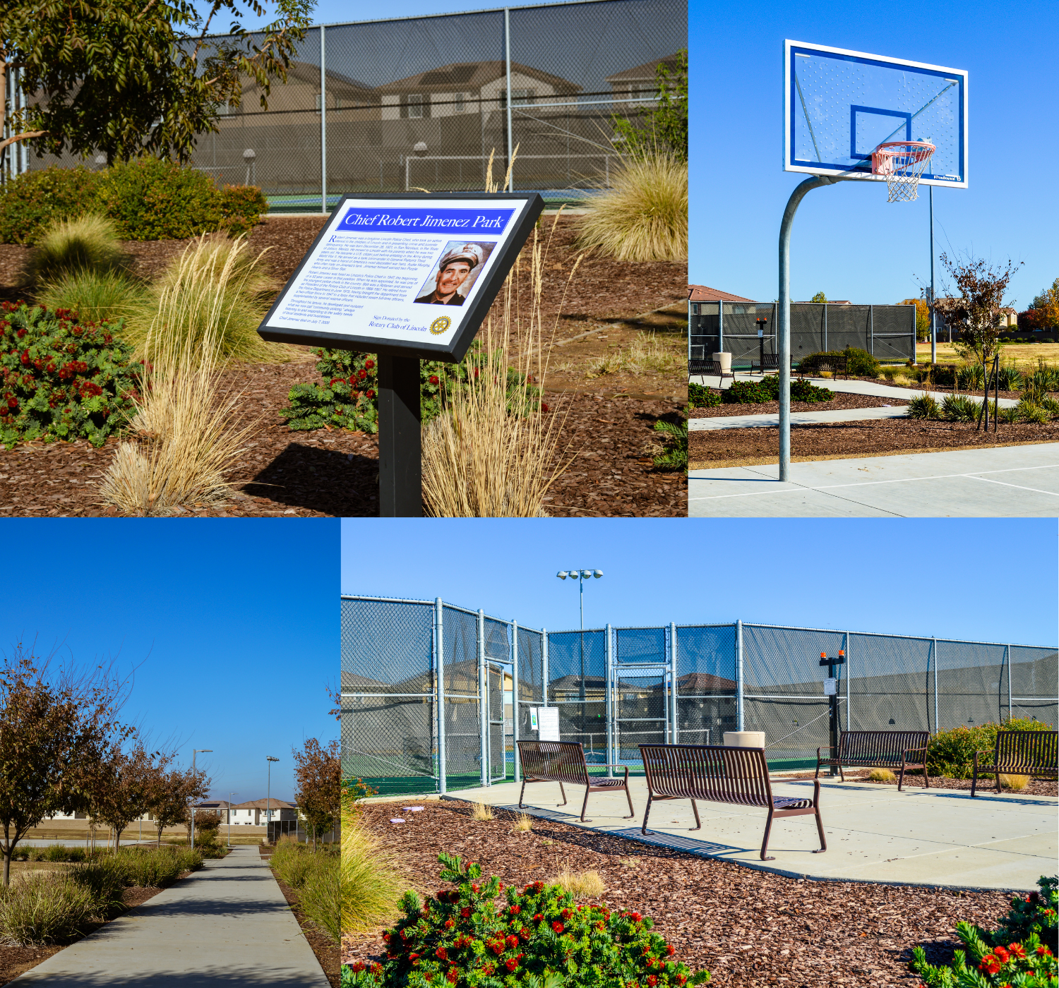 Photo collage of park on sunny day