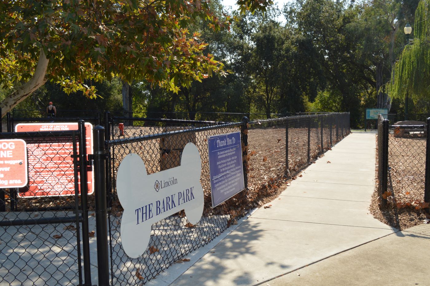 Dog park with trees and bark