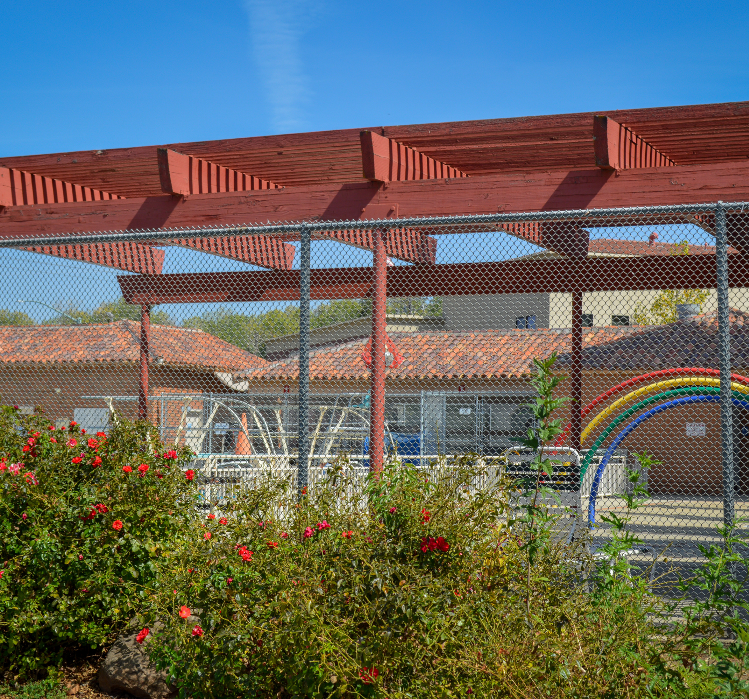 Outdoor pool with rose bush and rainbow water pipes