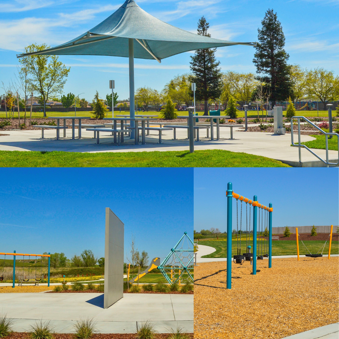 Photo collage of park with green grass and yellow flowers