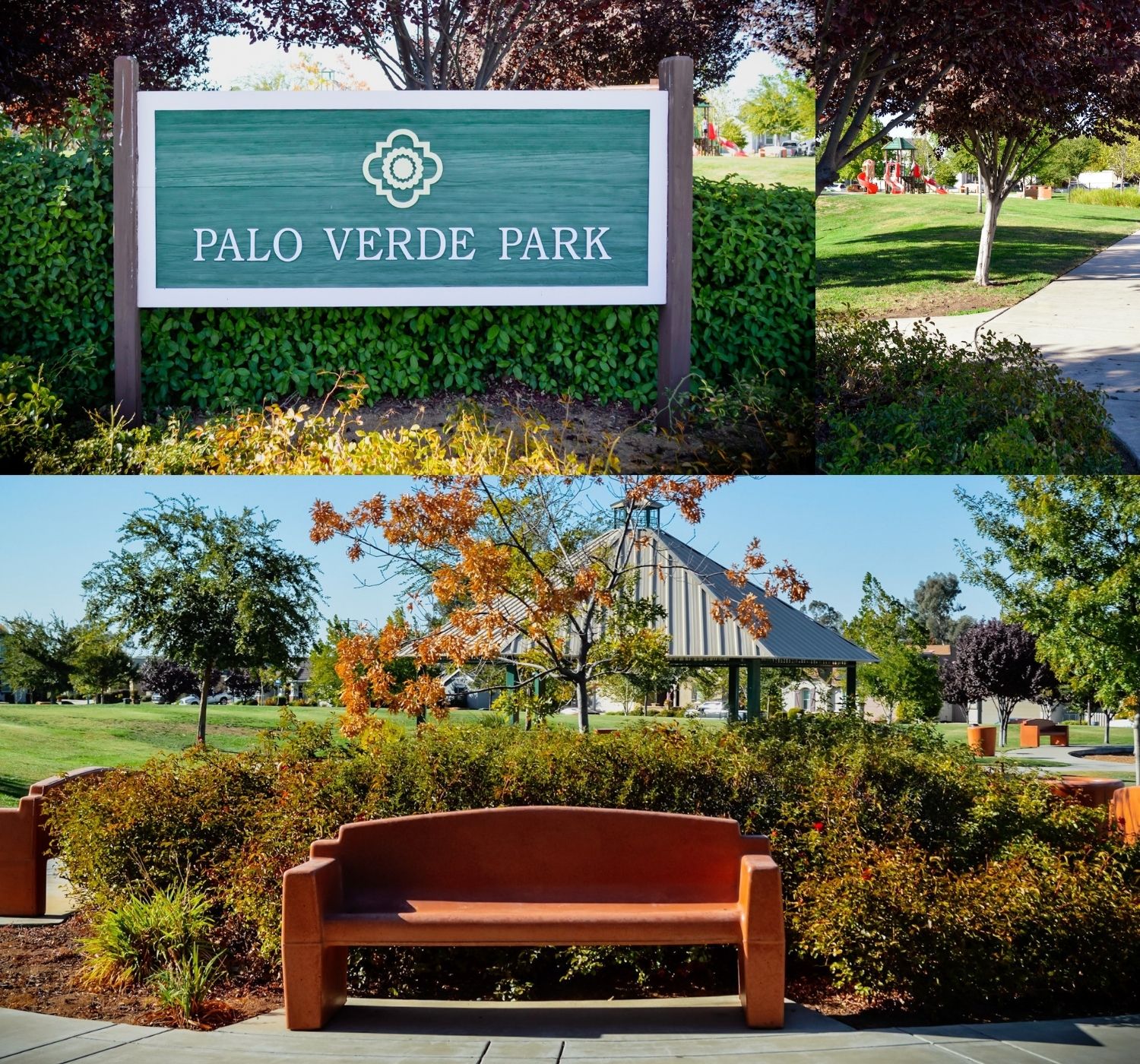 Photo collage of park and bench during fall