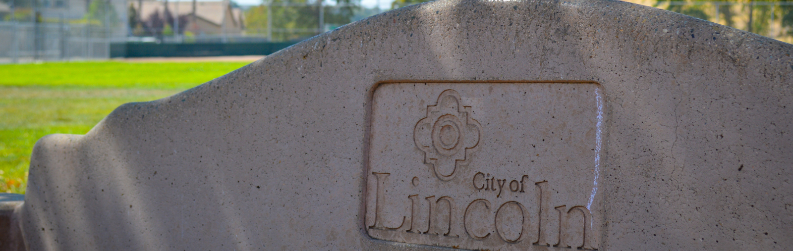 Lincoln park bench