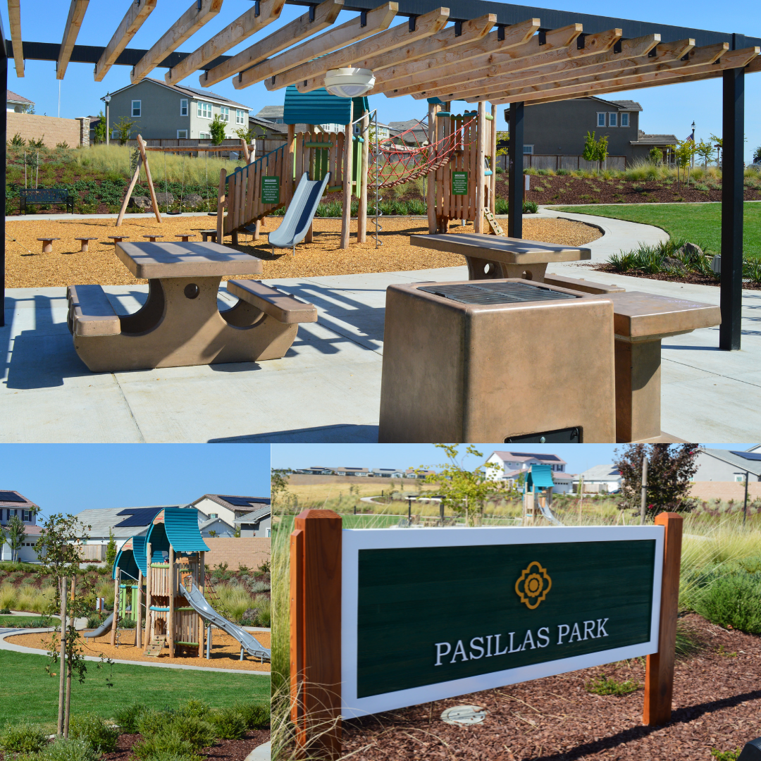 Photo collage of park with green grass and blue sky