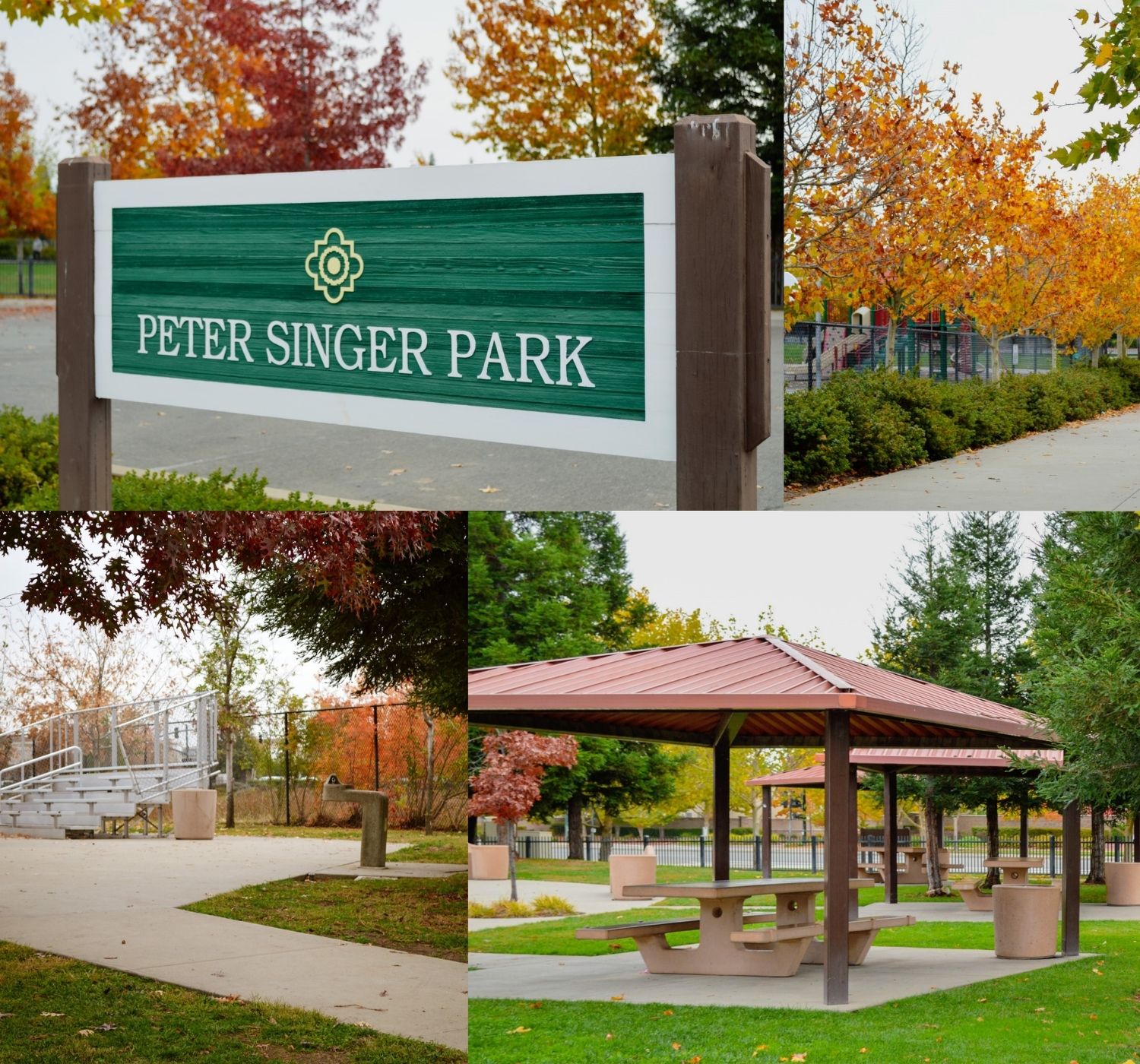 Photo collage of park during fall 