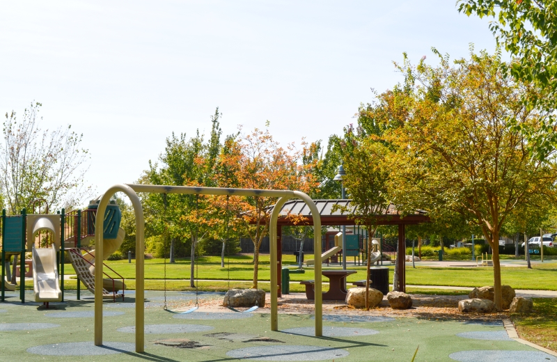 Sheffield Park play structure