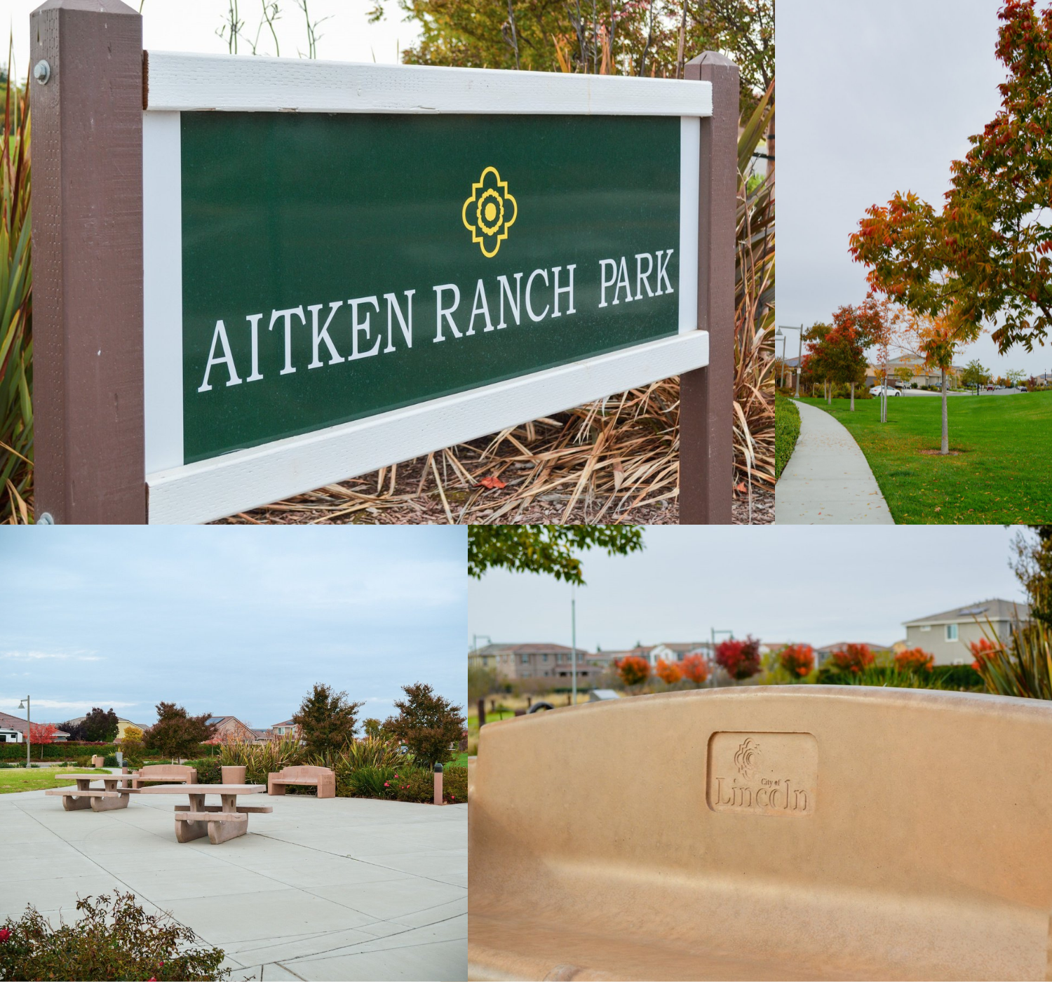 Photo collage of park during fall 