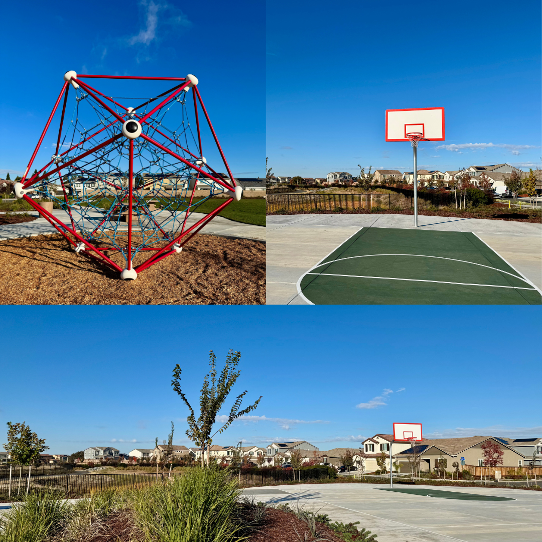 Vasion Park
