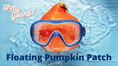 "gourd floating in pool with swim googles that says, &quot;Oh My Gourd! Floating Pumpking Patch&quot;"