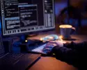 Cyber criminal