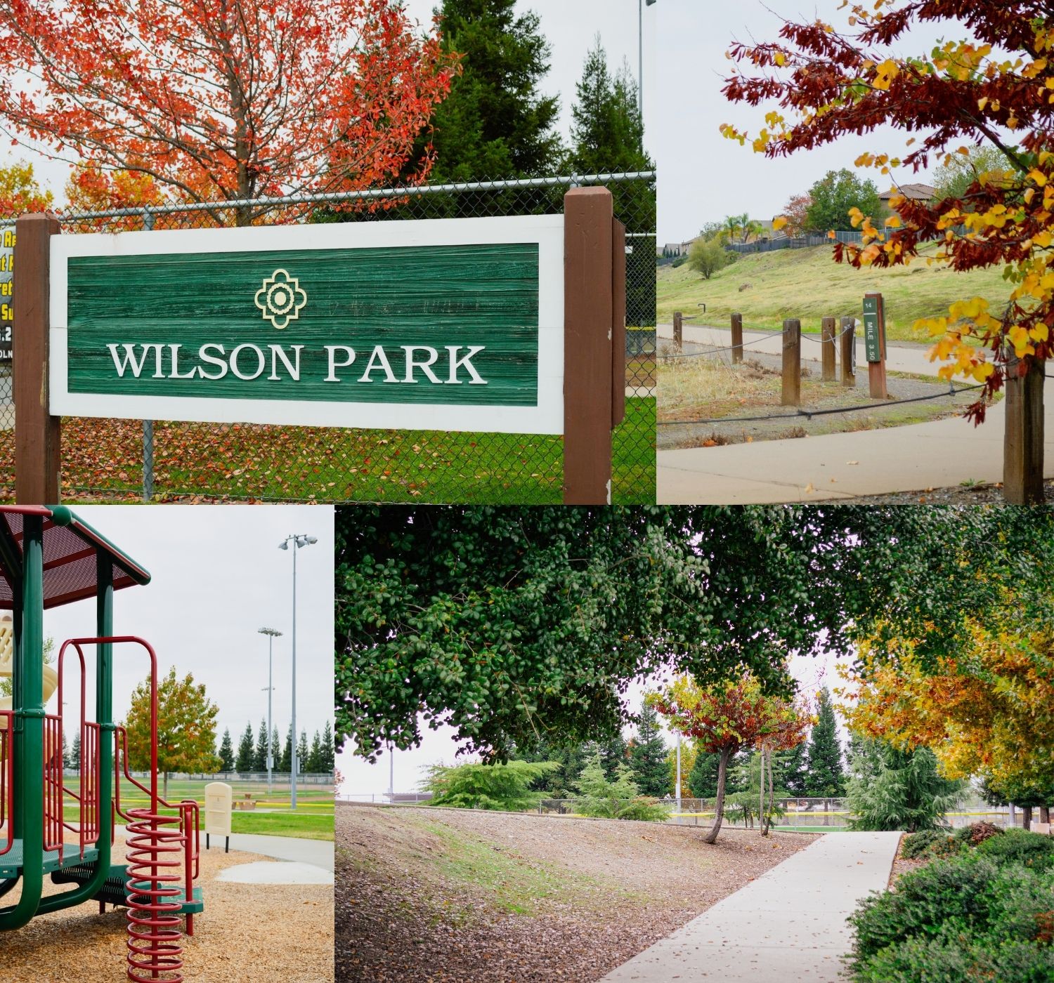 "Photo collage of park during fall "