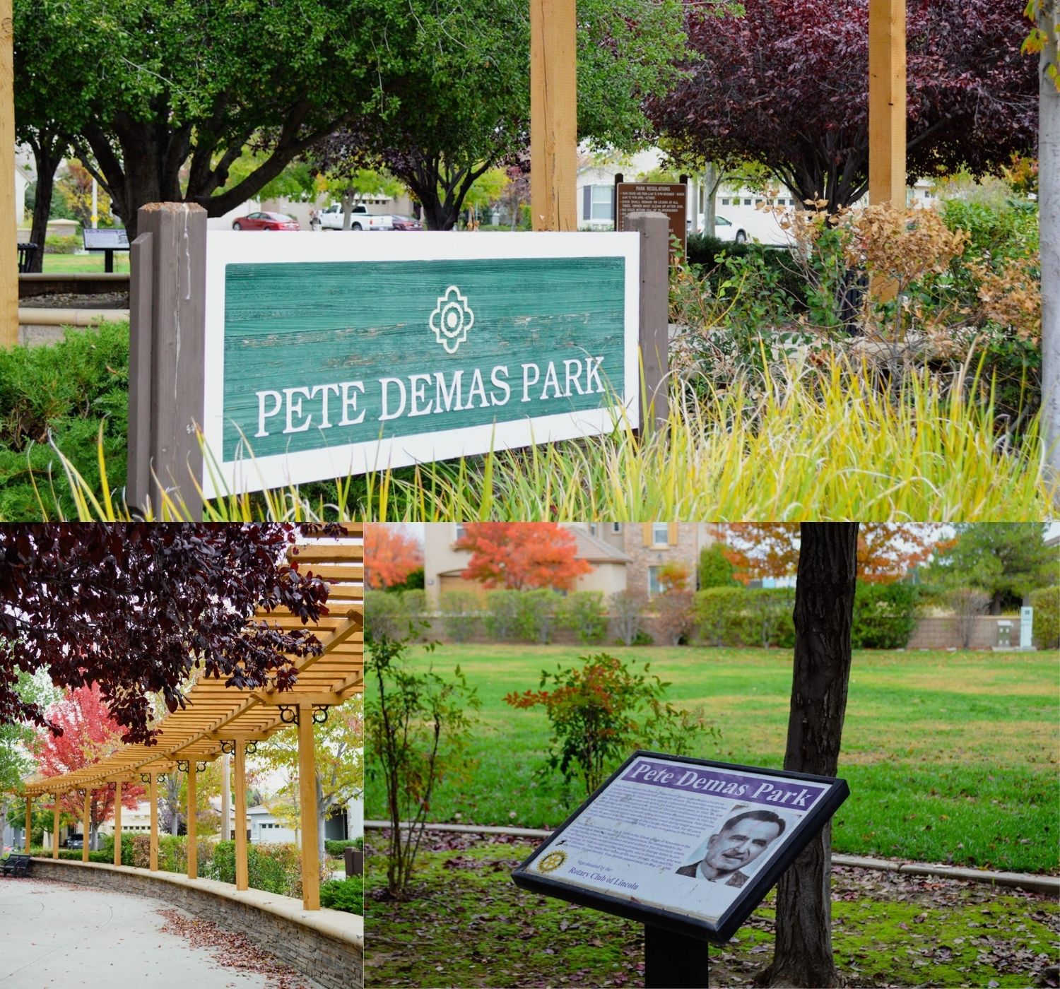 "Photo collage of park during fall "