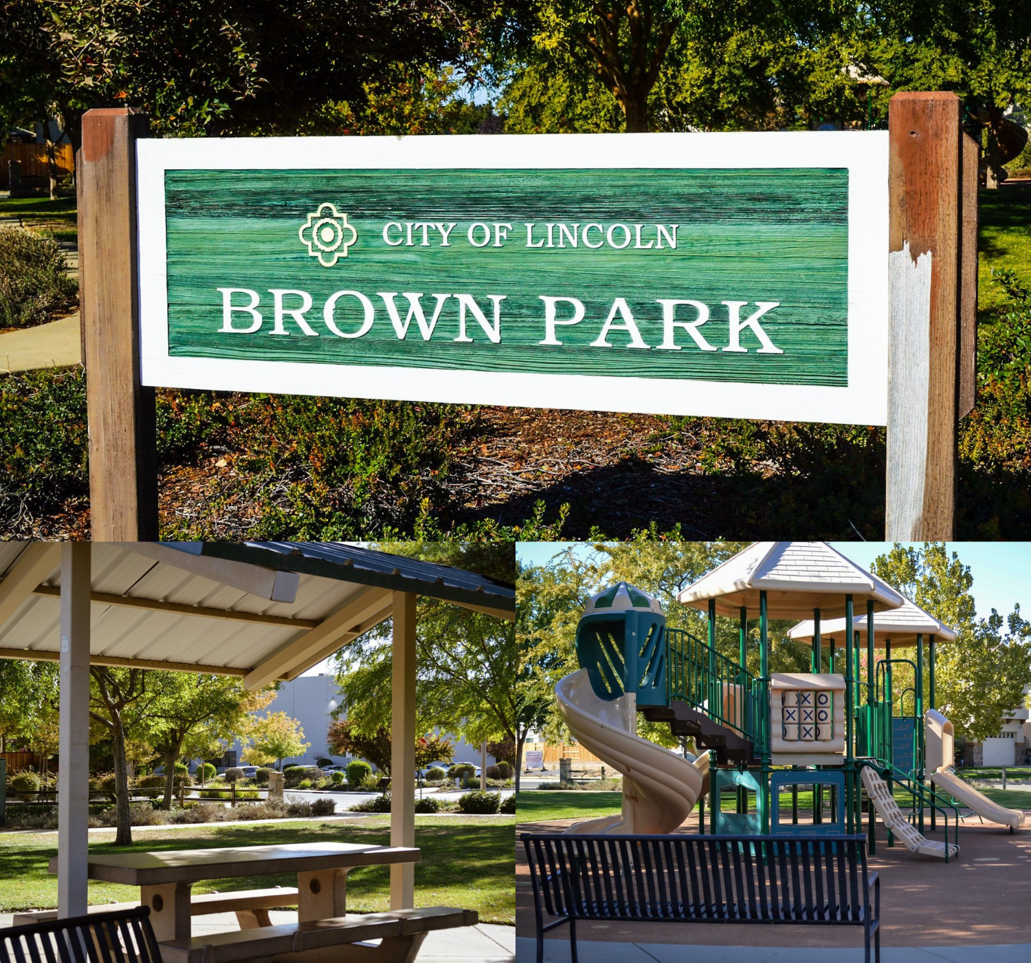 "Photo collage of park with greenery"