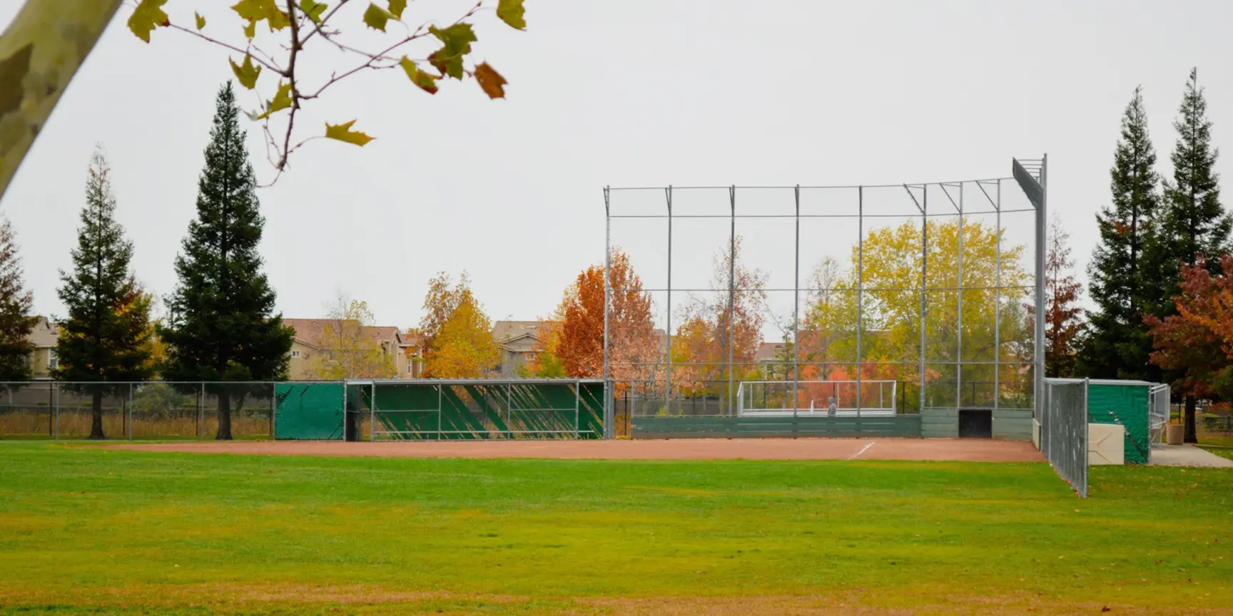 "Baseball field with green grass during fall"