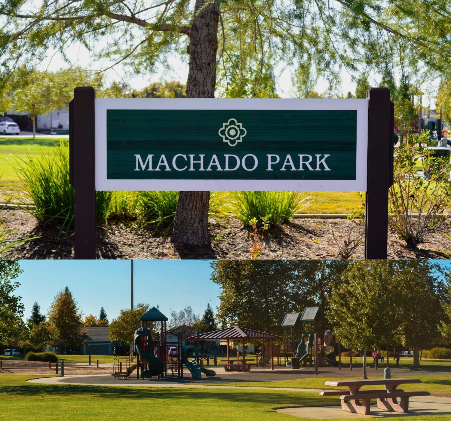 "Photo collage of park with green grass"