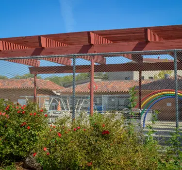 "Outdoor pool with rose bush and rainbow water pipes"